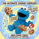  TY Cookie Monster Sesame Street soft stuffed animal

