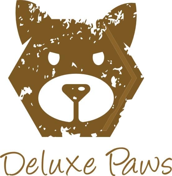 Spooky Cute! Set of 2 Halloween Gnome Couple | Jack-O'-Lantern Hat Plush Decor