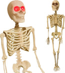 Spooky Halloween Decoration - Full Skeleton with LED Eyes, 36"-1