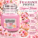  Yankee Candle Sugared Blossom medium jar candle for home fragrance and gifting
