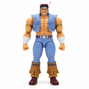  T. Hawk Ultra Street Fighter II collectible figure by Jada Toys
