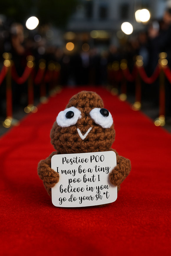 Funny Crochet Poop Plushie with Sign Positive Poo Encouragement Gift Handmade
