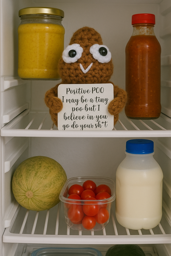 Funny Crochet Poop Plushie with Sign Positive Poo Encouragement Gift Handmade