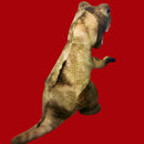 Extra Large 85cm Dinosaur-10