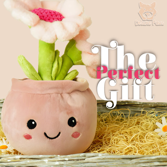 Deluxe Paws Daisy Plant Plush Toy Kawaii Plushie, 10"