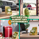 Positive Potato Official Emotional Support Gifts - Original Hooked by Bex (Boxed Style)-15