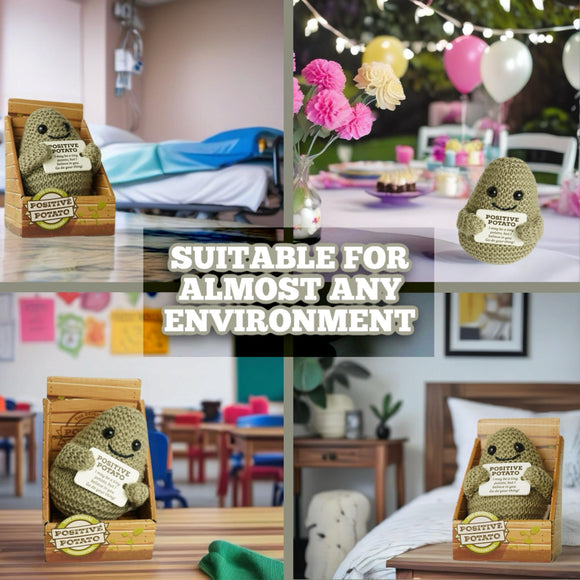 Positive Potato Official Emotional Support Gifts - Original Hooked by Bex (Boxed Style)