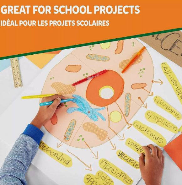 8 x Liquid School Glue Elmer's Washable Clear - 8 PACK