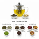 Glass Teapot Steel Infuser & Lid Heat Resistant Borosilicate Loose Tea 1200ml-4
