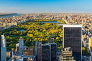 New York Jigsaw Puzzle - Iconic yellow taxi and Central Park from above 2 x 1000 Piece Collection-3