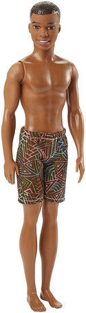 Barbie DWK07 Boy Beach Doll, Multi-Colour