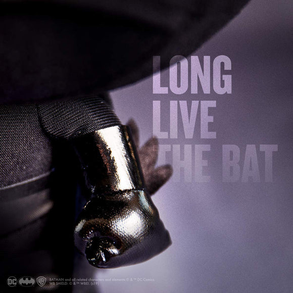 Box Damaged Batman 80th Anniversary Collector Plush DZNR