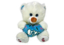 Valentines Love Bear Plush Soft Toy Teddy 12"