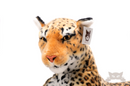 Deluxe Paws Large Leopard Plush 140cm 50"-4