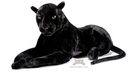 Deluxe Paws Panther Plush - 100cm-4
