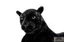 Deluxe Paws Realistic Large Panther Stuffed Soft Toy 140cm-2