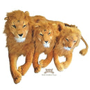 Deluxe Paws Realistic Large Lion Plush Stuffed Soft toy - 100cm-7